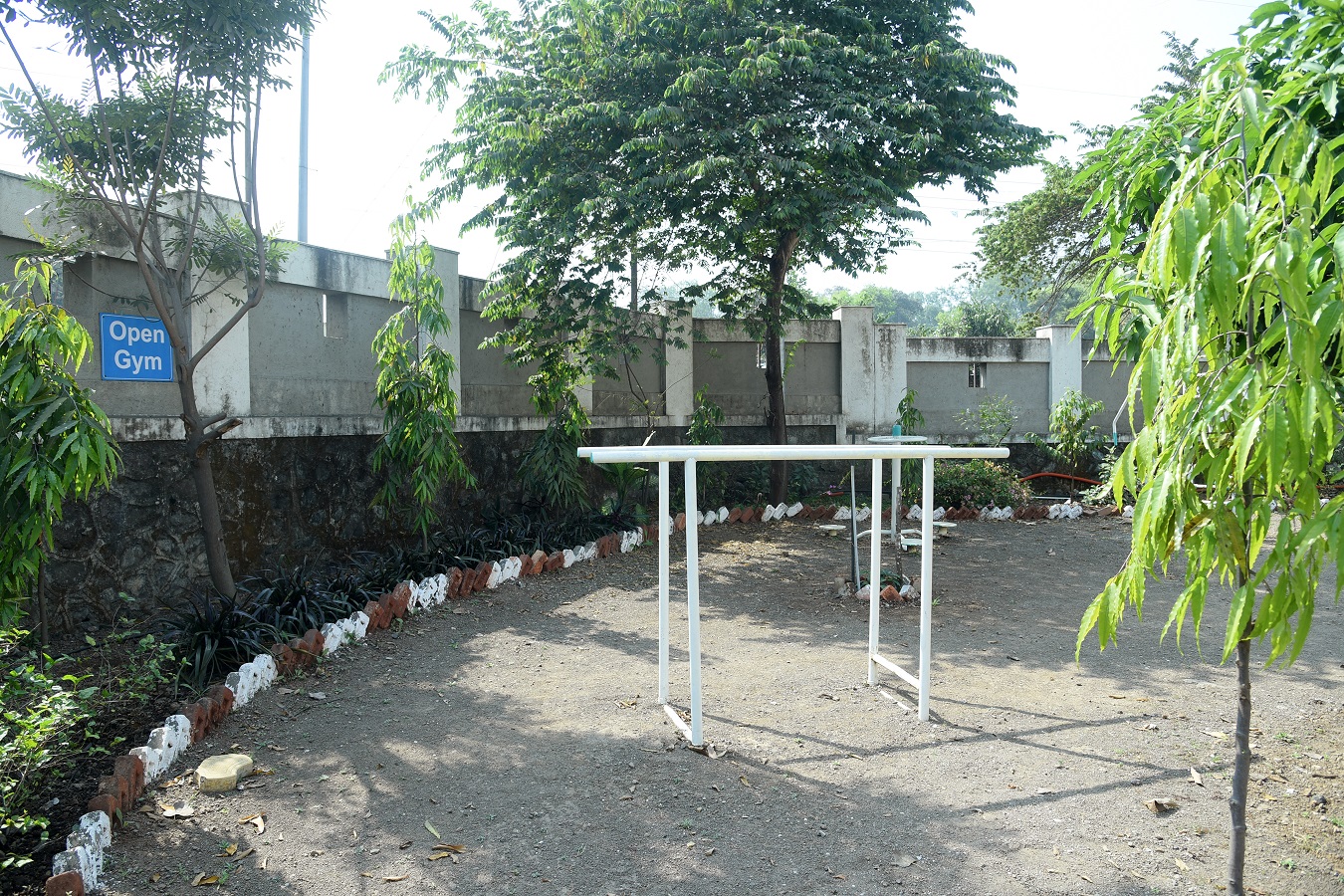 Photo 8